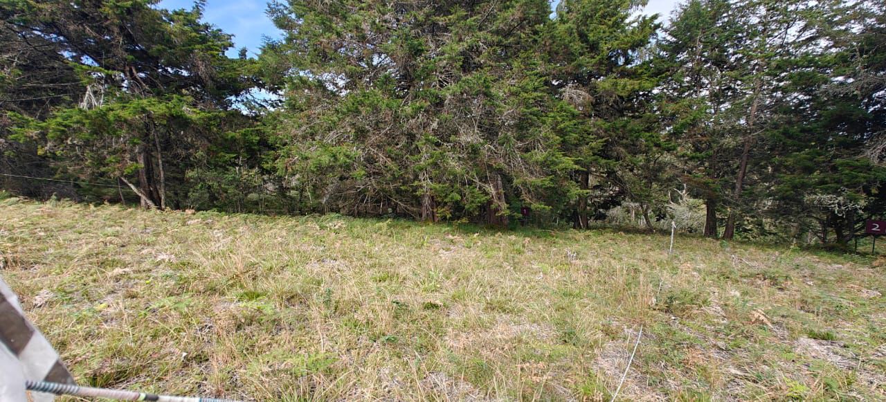 Lote en venta en Palmas