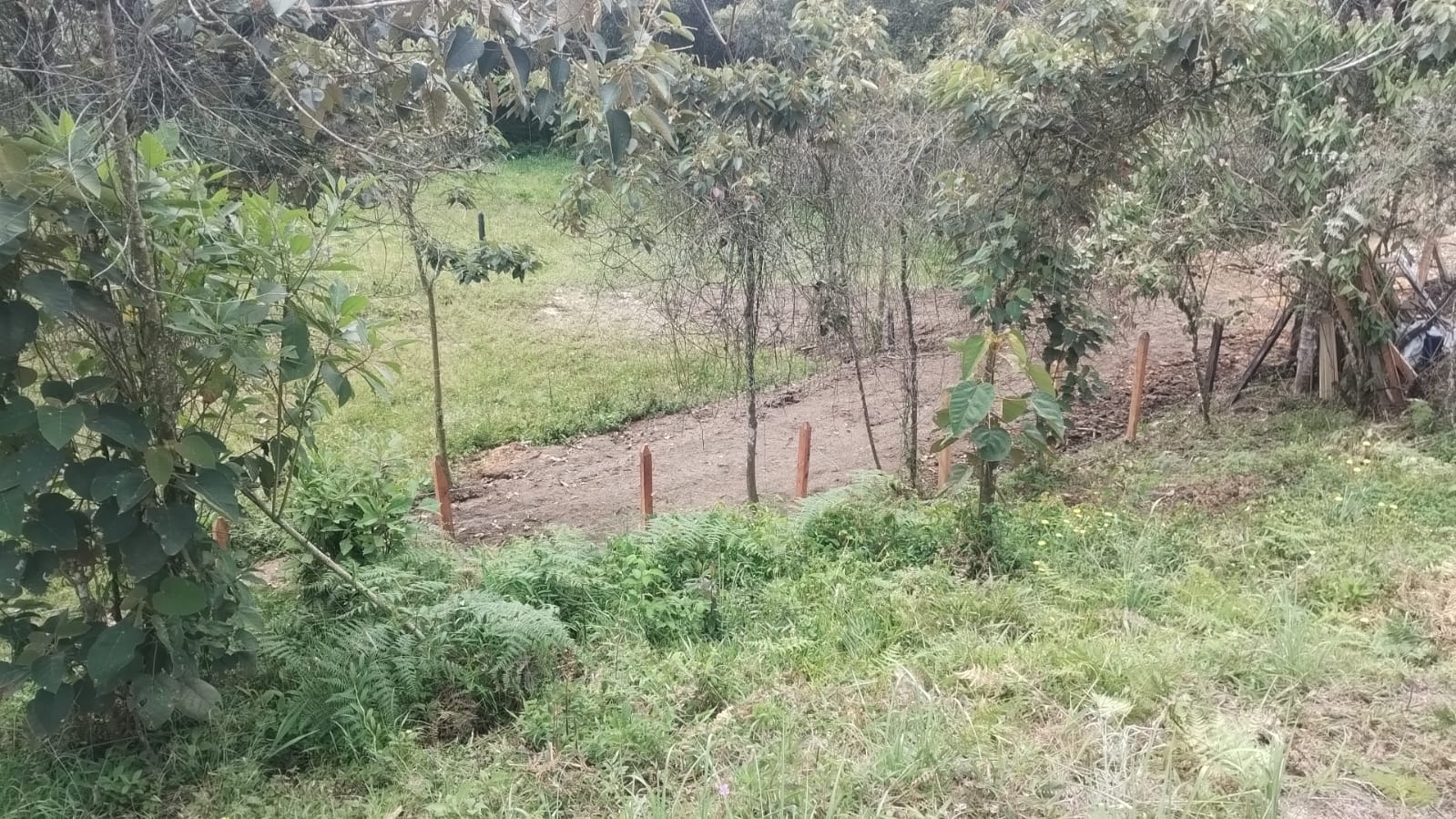 Lote En Venta En Santa Elena Antioquia