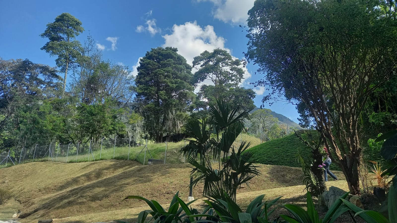 Apartamento para la venta en Envigado sector El Escober0