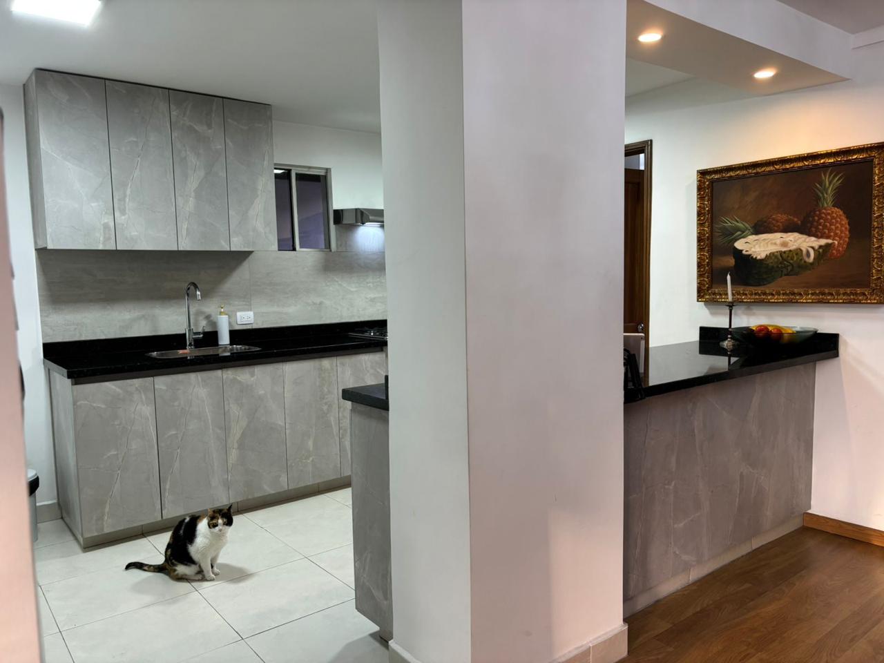Apartamento para la venta en el tesoro