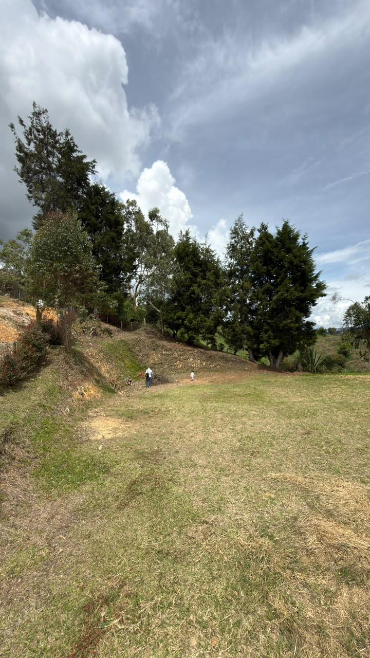 LOTE EN VENTA – PARCELACIÓN PIEDRAS BLANCAS