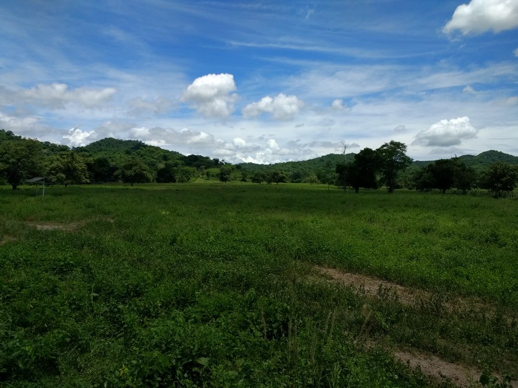 Finca en venta en el Tolima