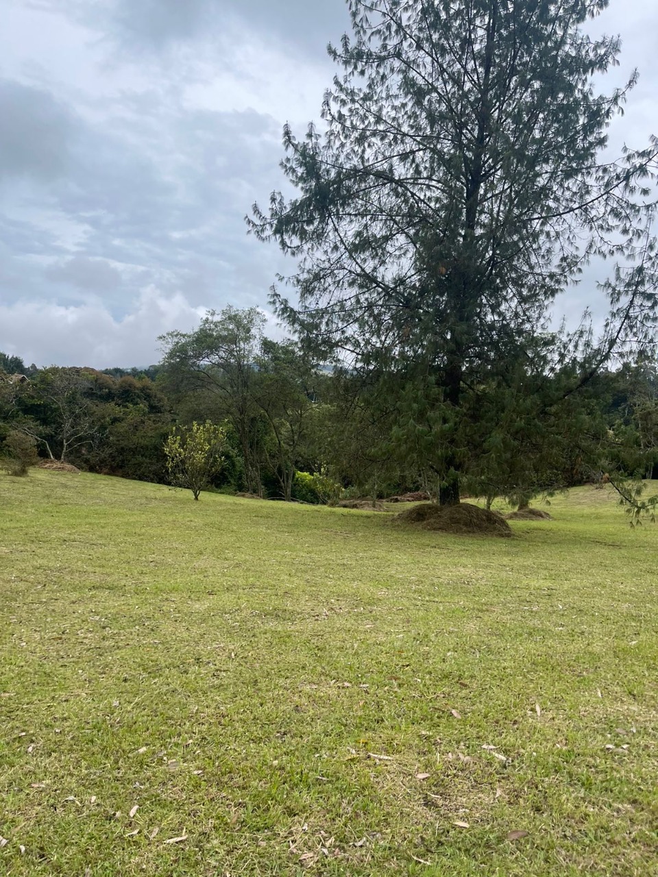 Lote en venta avenida las palmas K2 Envigado Medellín Antioquia