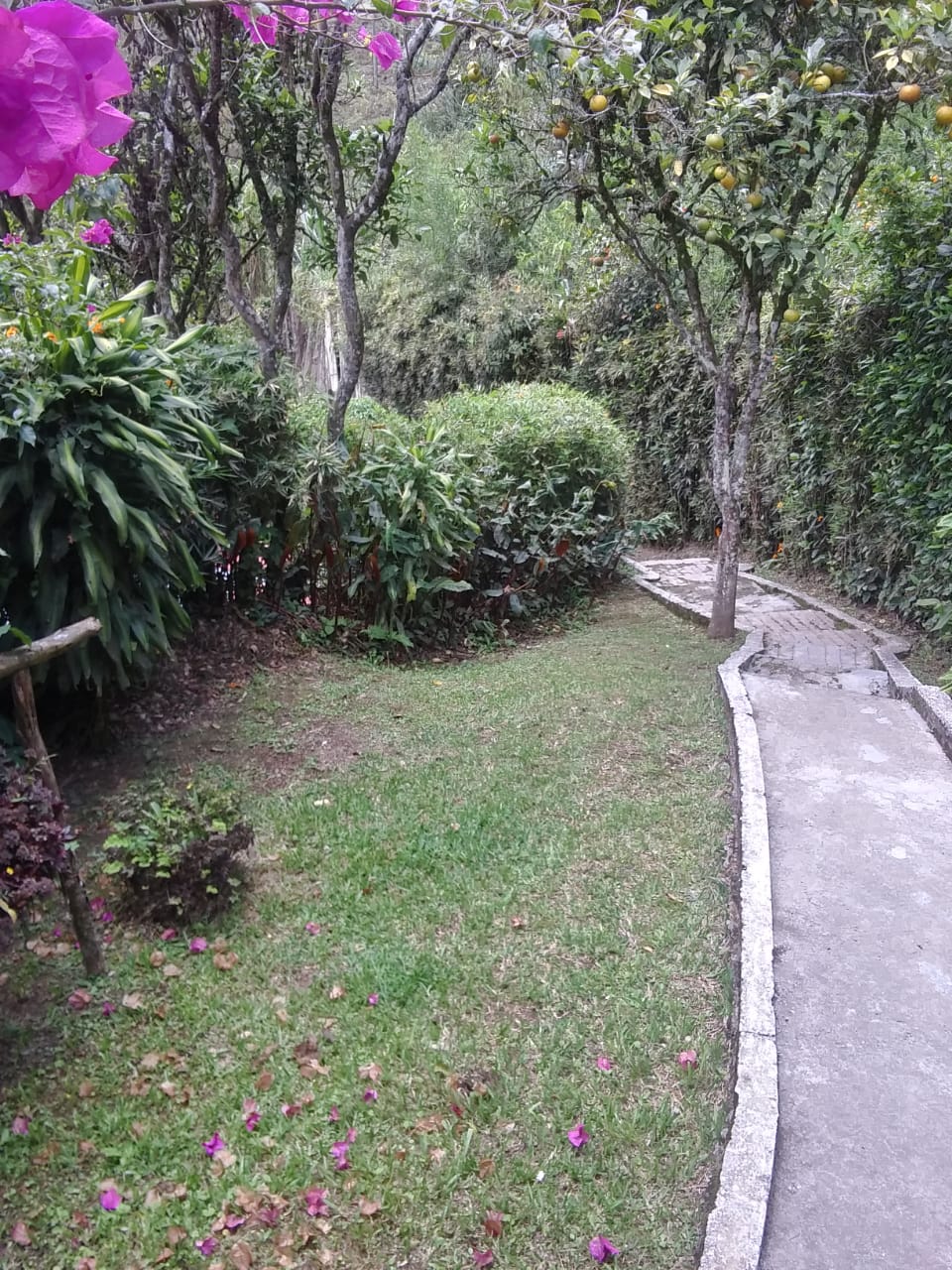 Finca en Venta Construccion Tradicional Caldas Antioquia