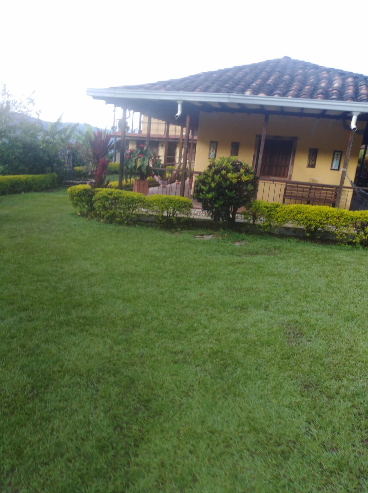 Casa Finca Para La Venta En Sonson.