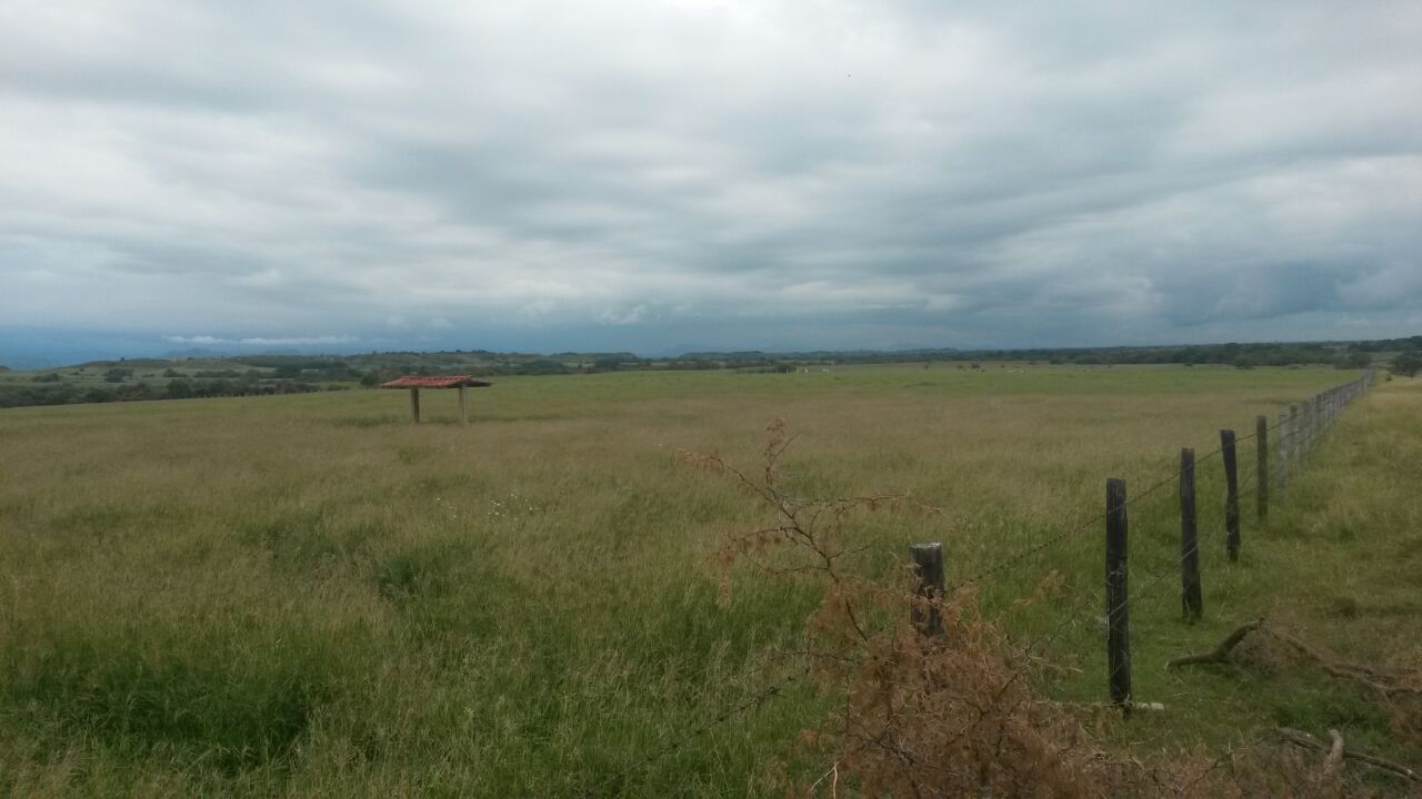 Finca en venta en Saldaña  Tolima