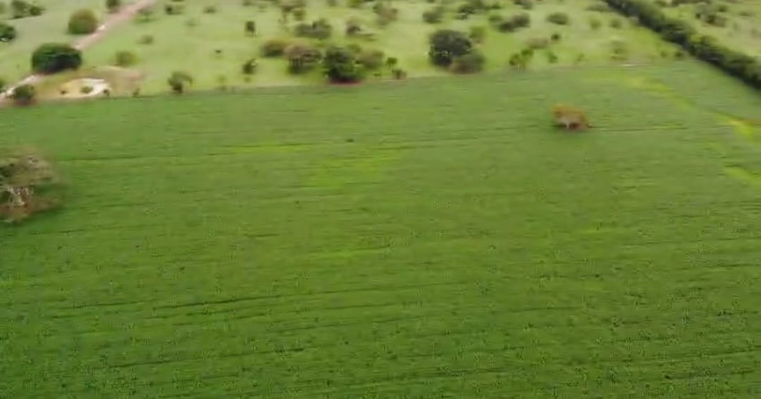 Venta de Finca Tecnificada para la Ganadería y Agricultura Córdoba