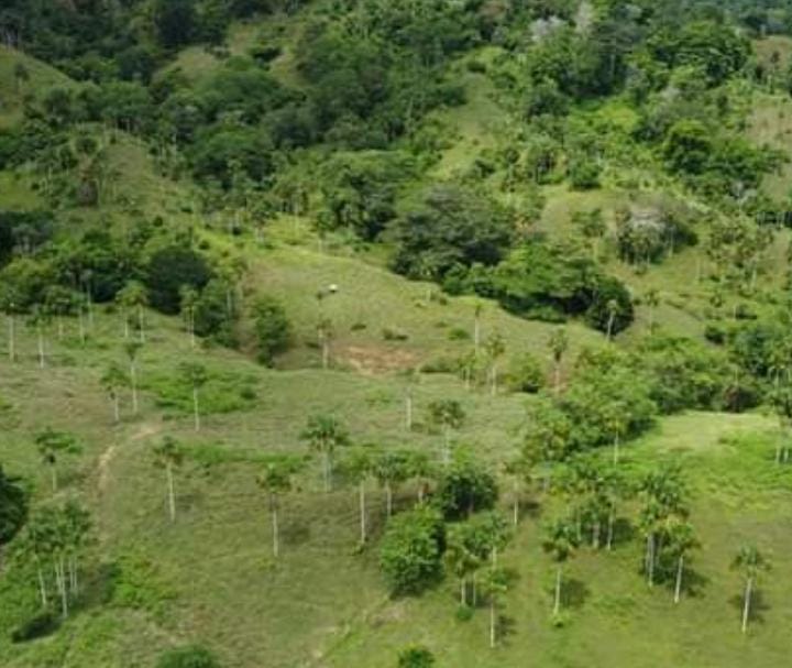 Finca en venta en Córdoba cerca de Montería