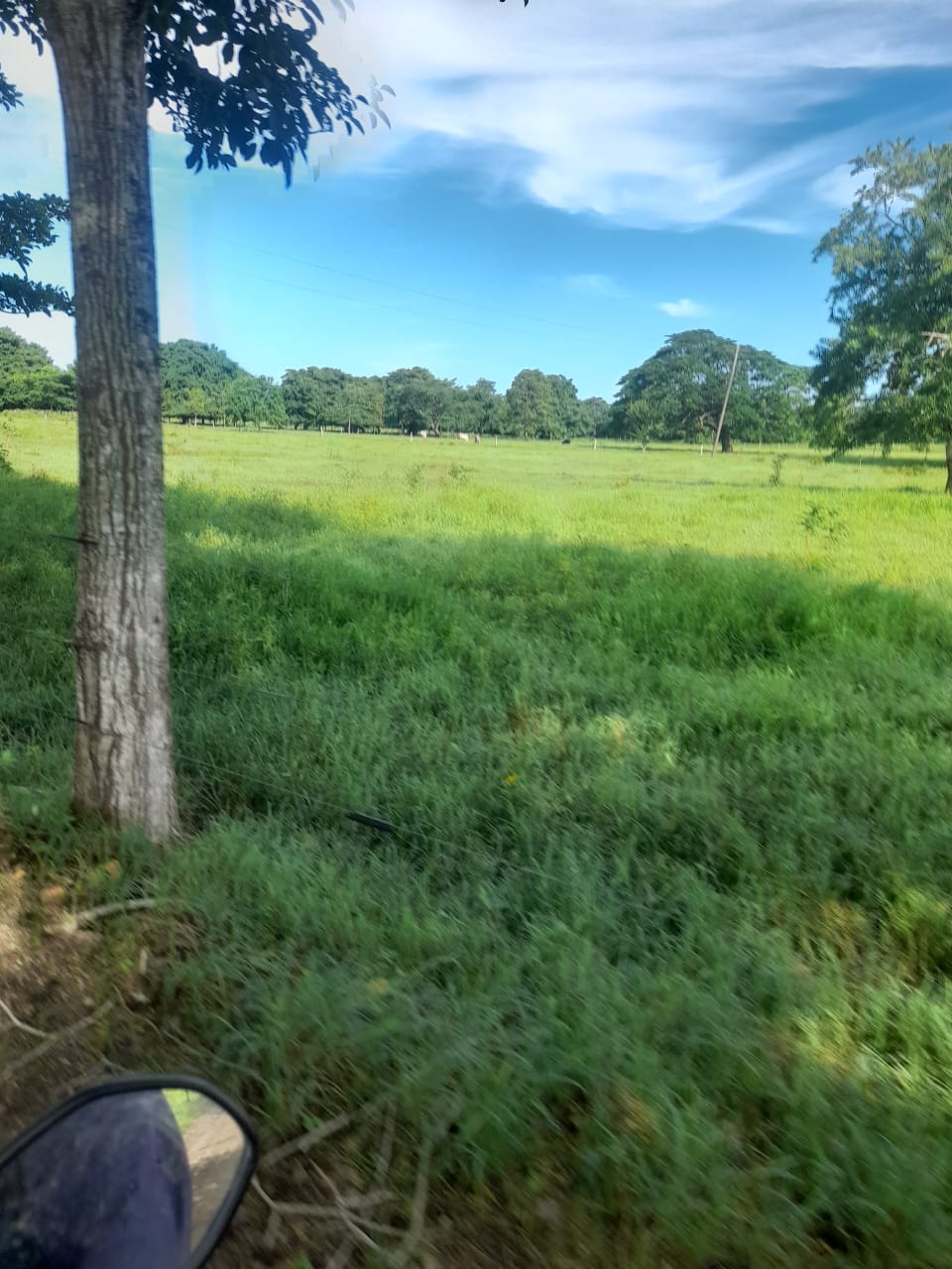 Finca en venta en Córdoba cerca de Montería