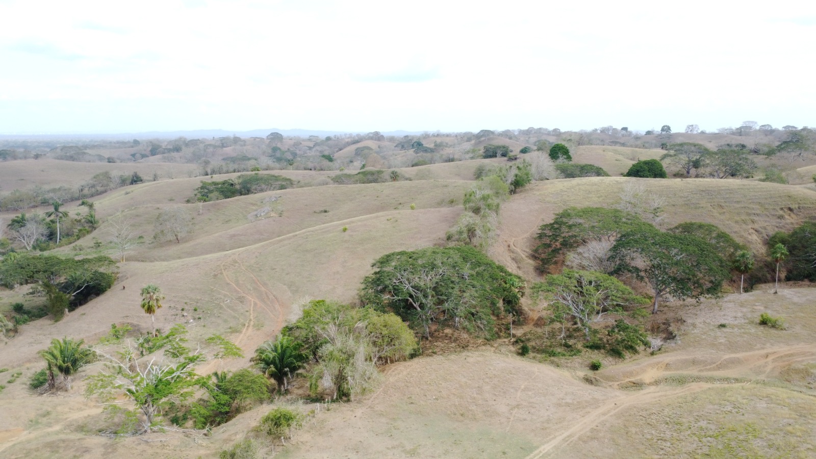 Finca en venta en los Córdobas  cerca de Monteria
