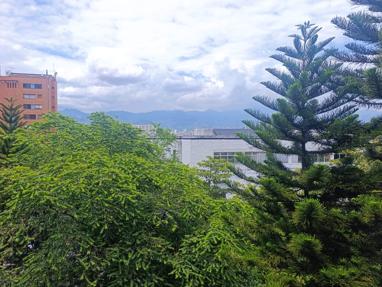 Apartamento en venta Medellín sector San diego zona plana