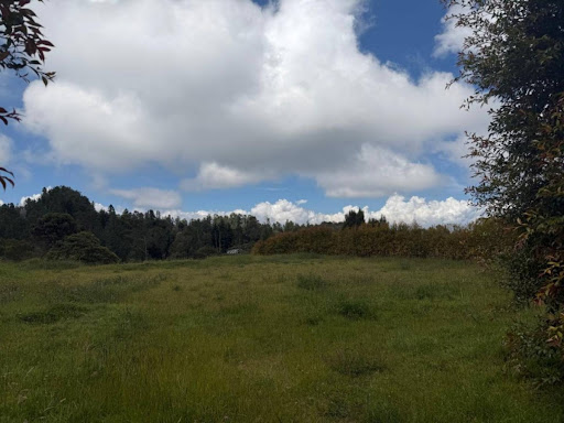 Lote en venta en las Palmas Medellin