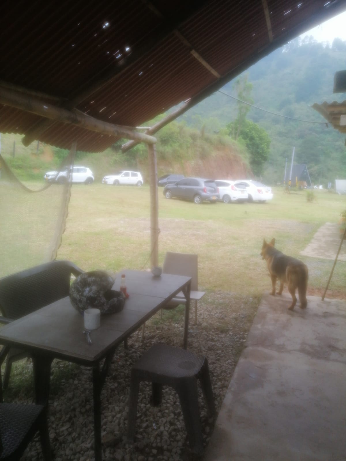 Lote