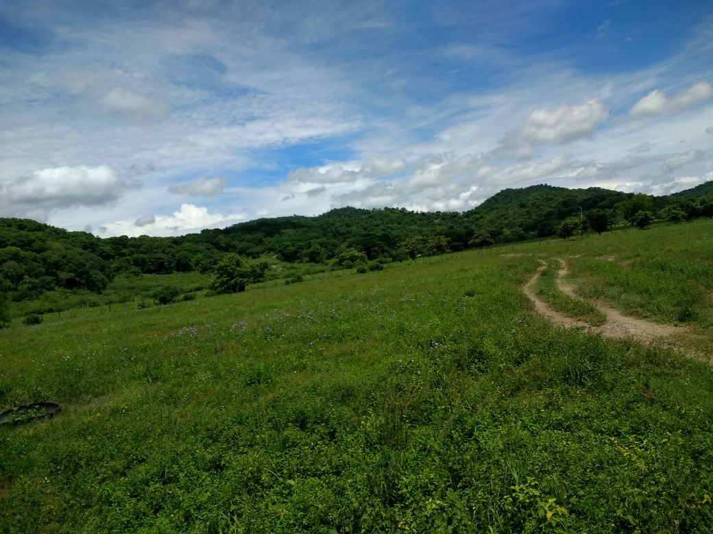 Finca en venta en el Tolima
