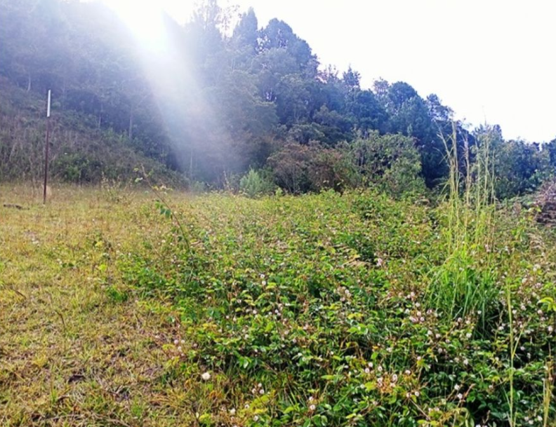 Lote para la venta en Envigado Altos del Escobero