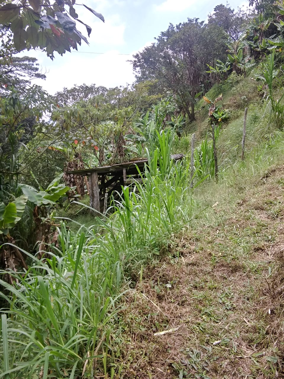 Finca en Venta Construccion Tradicional Caldas Antioquia