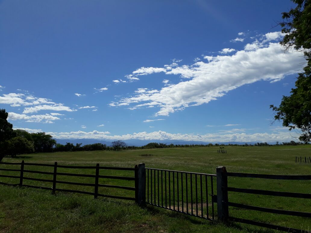 Finca en venta en Saldaña  Tolima