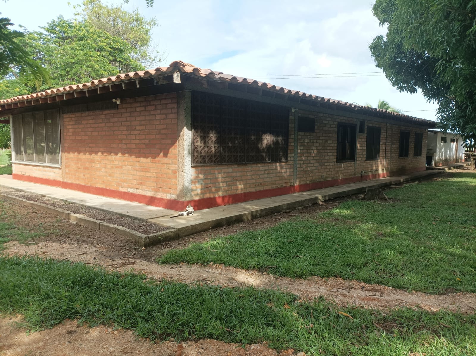 Venta de finca ganadera en Cordoba Ayapel