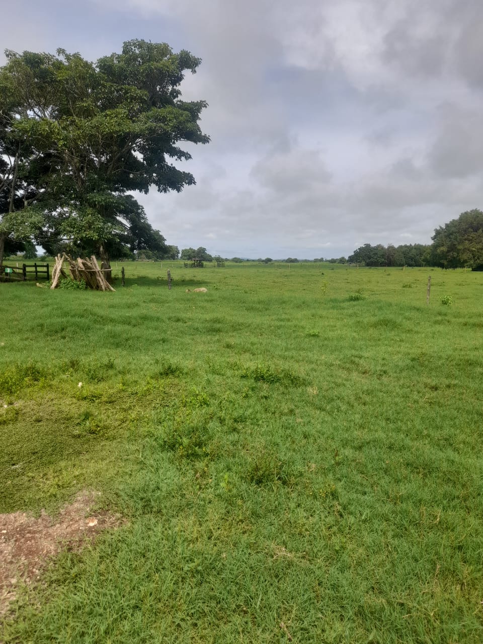 Finca en venta en Córdoba cerca de Montería