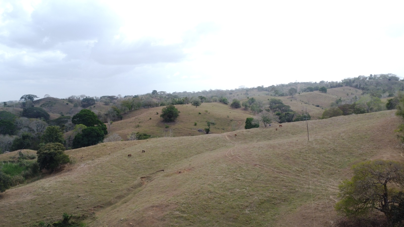 Finca en venta en los Córdobas  cerca de Monteria