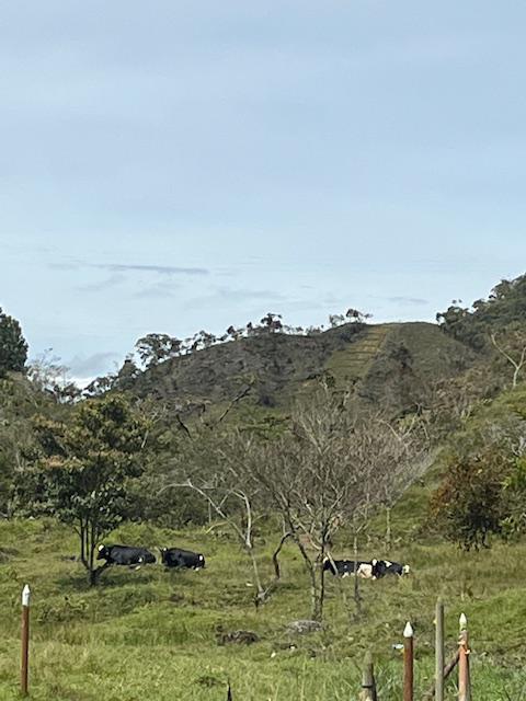Finca Agropecuaria en Venta en Santo Domingo Antioquia