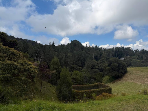 Lote en venta en las Palmas Medellin