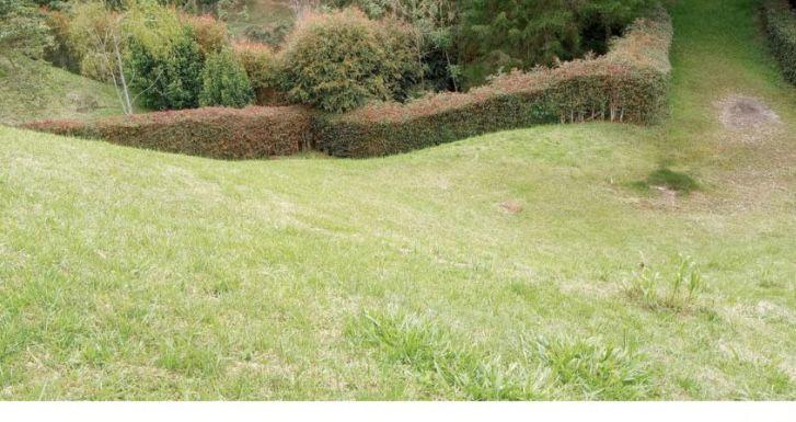 Lote en venta en las Palmas Medellin