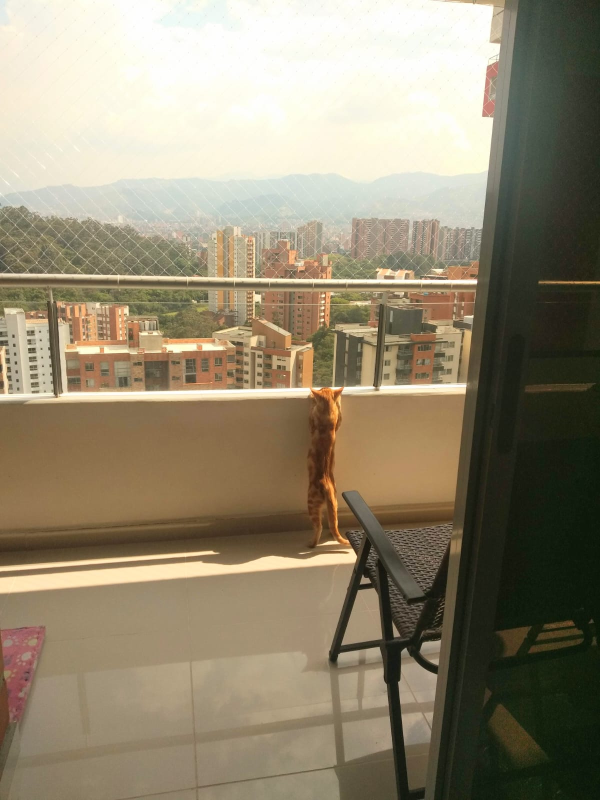 Apartamento en Venta en Pilarica - Medellín