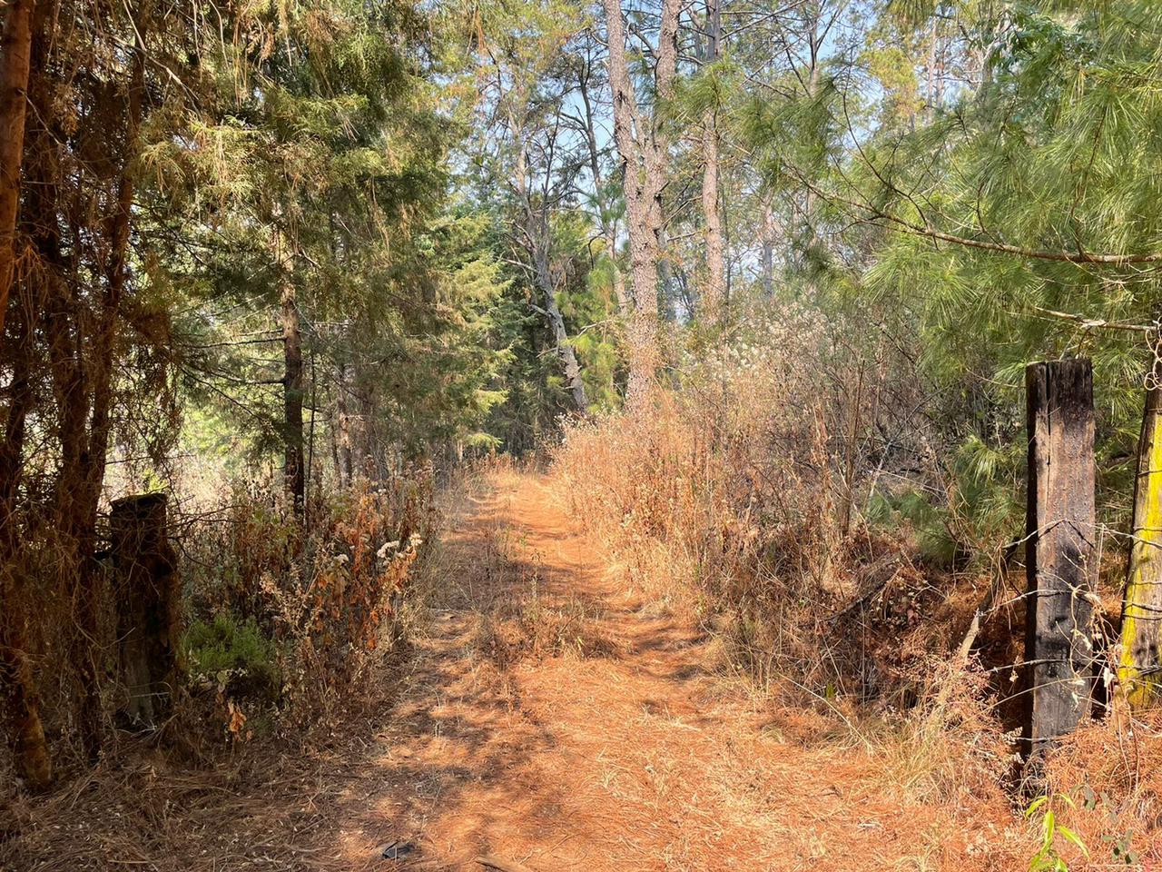 Venta Terreno / Lote No informado - Michoacán de Ocampo