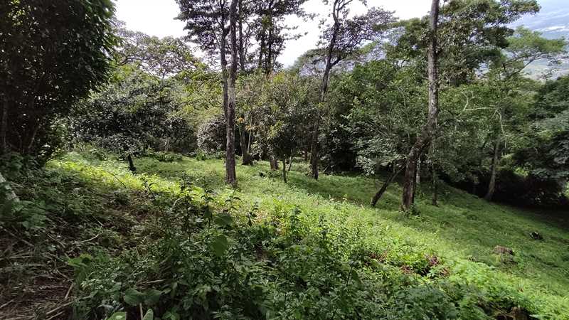 Lote en venta en Santa Ana, Rio Oro, Condominio. 5VV7114989
