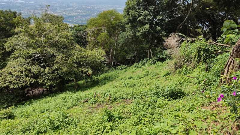 Lote en venta en Santa Ana, Rio Oro, Condominio. 5VV7114989