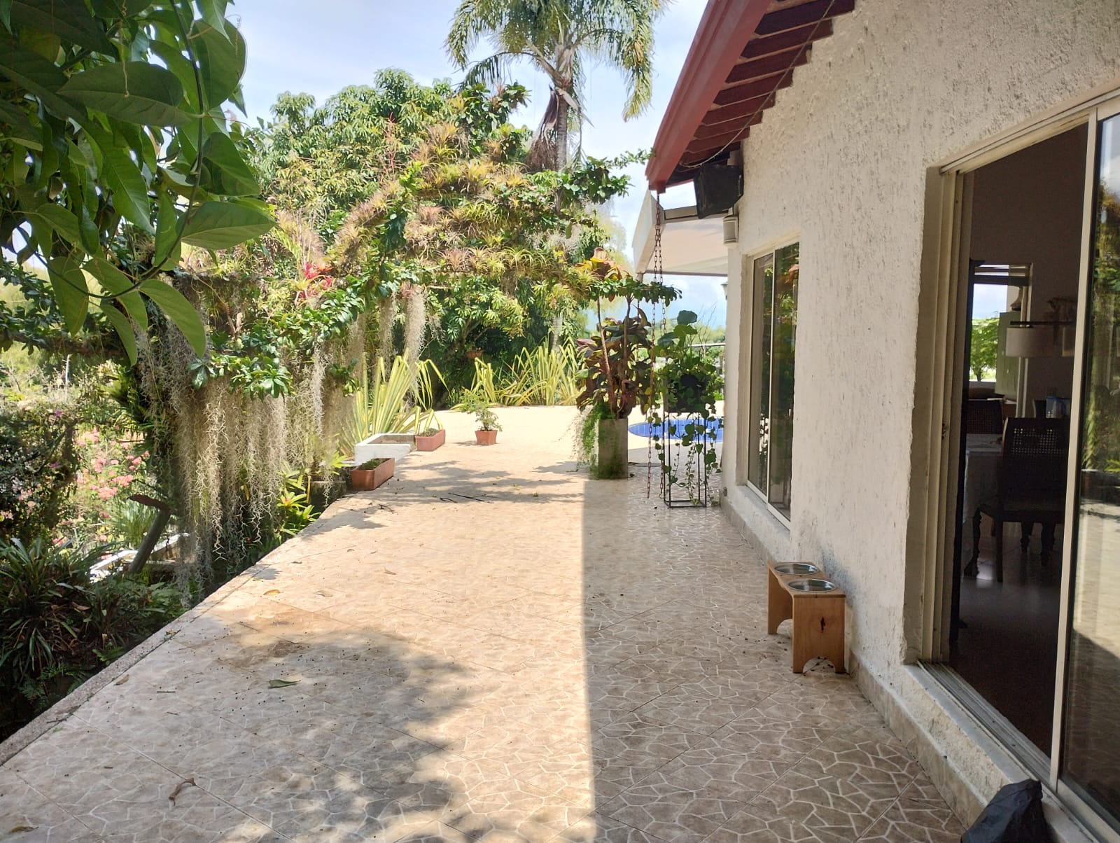Imagen de SE VENDE CASA CAMPESTRE CON RENTA, SECTOR SAN JOSE PEREIRA.