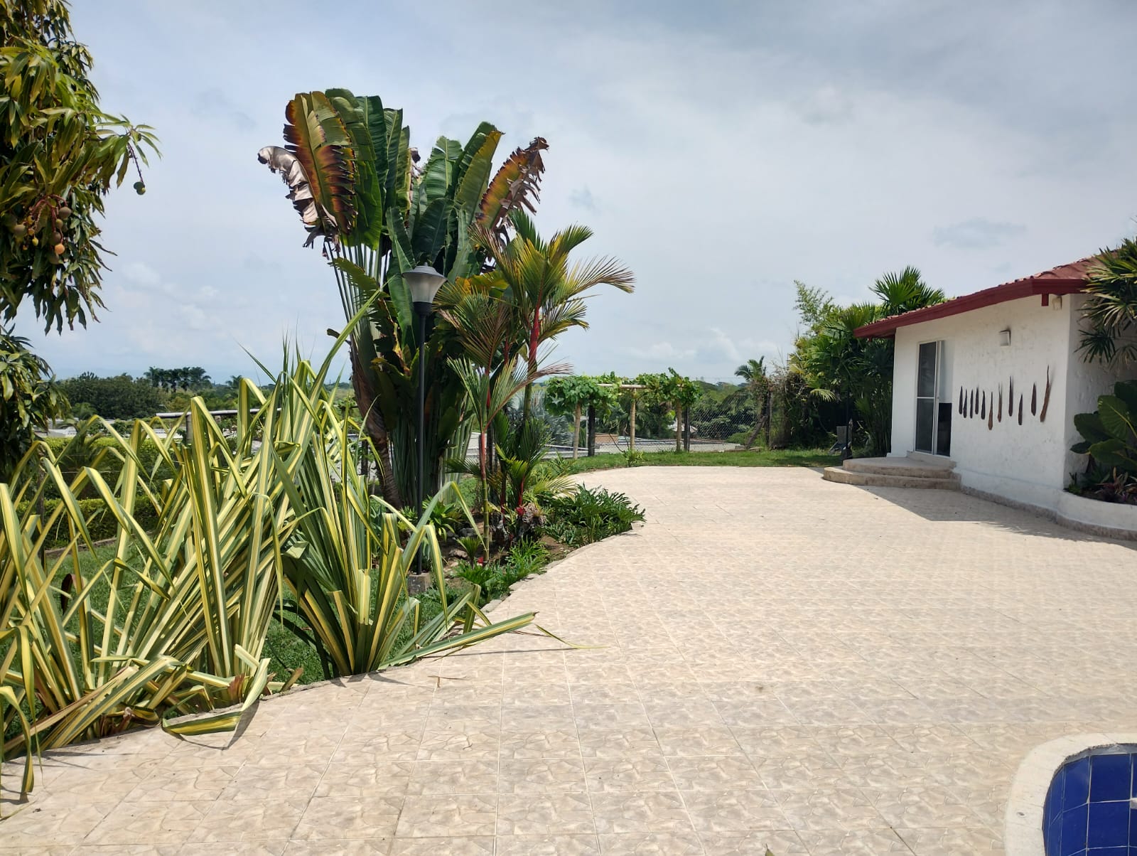 Imagen de SE VENDE CASA CAMPESTRE CON RENTA, SECTOR SAN JOSE PEREIRA.