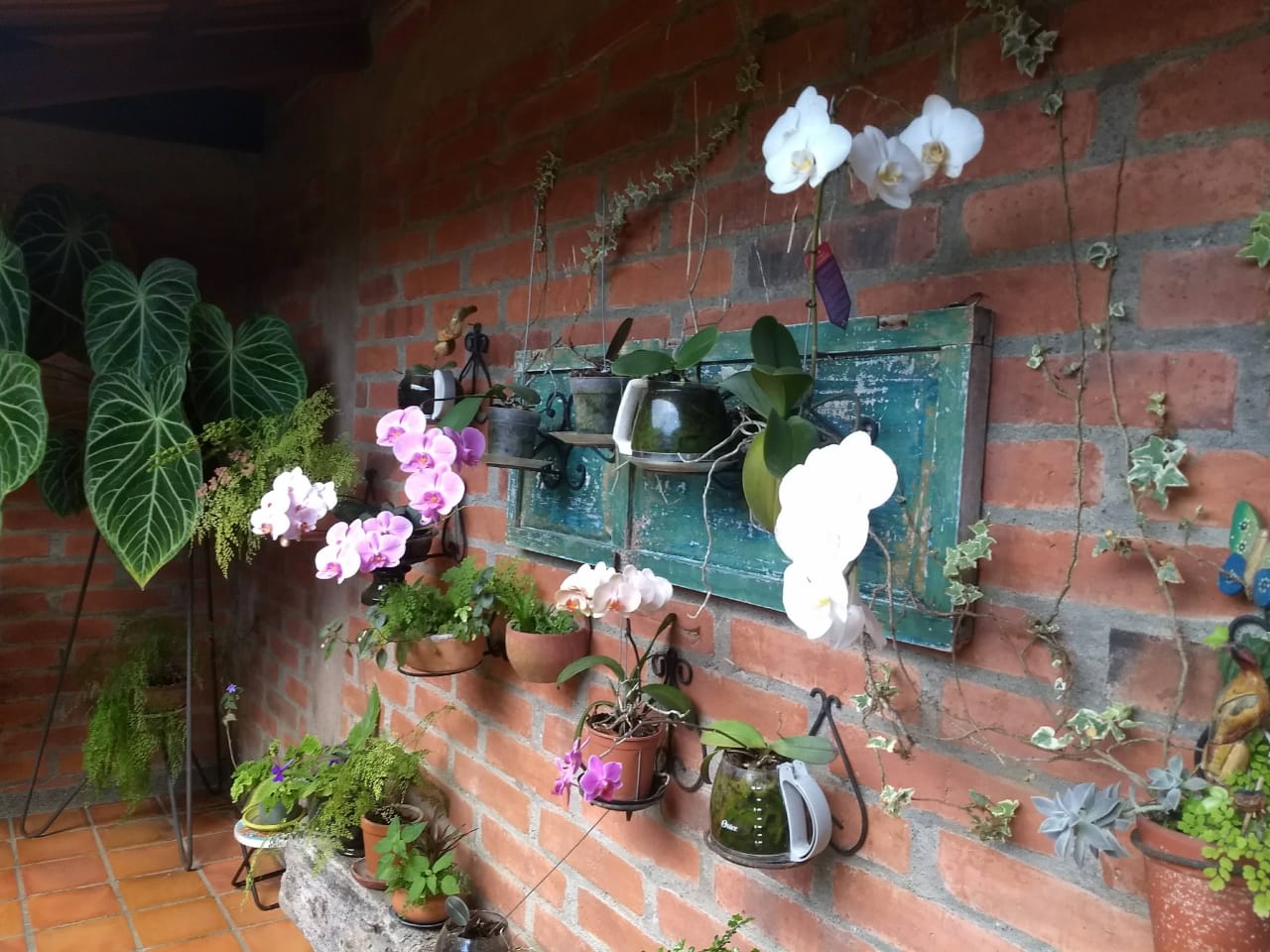 Imagen de VENDO CASA CAMPESTRE VÍA CERRITOS ENTRADA 3