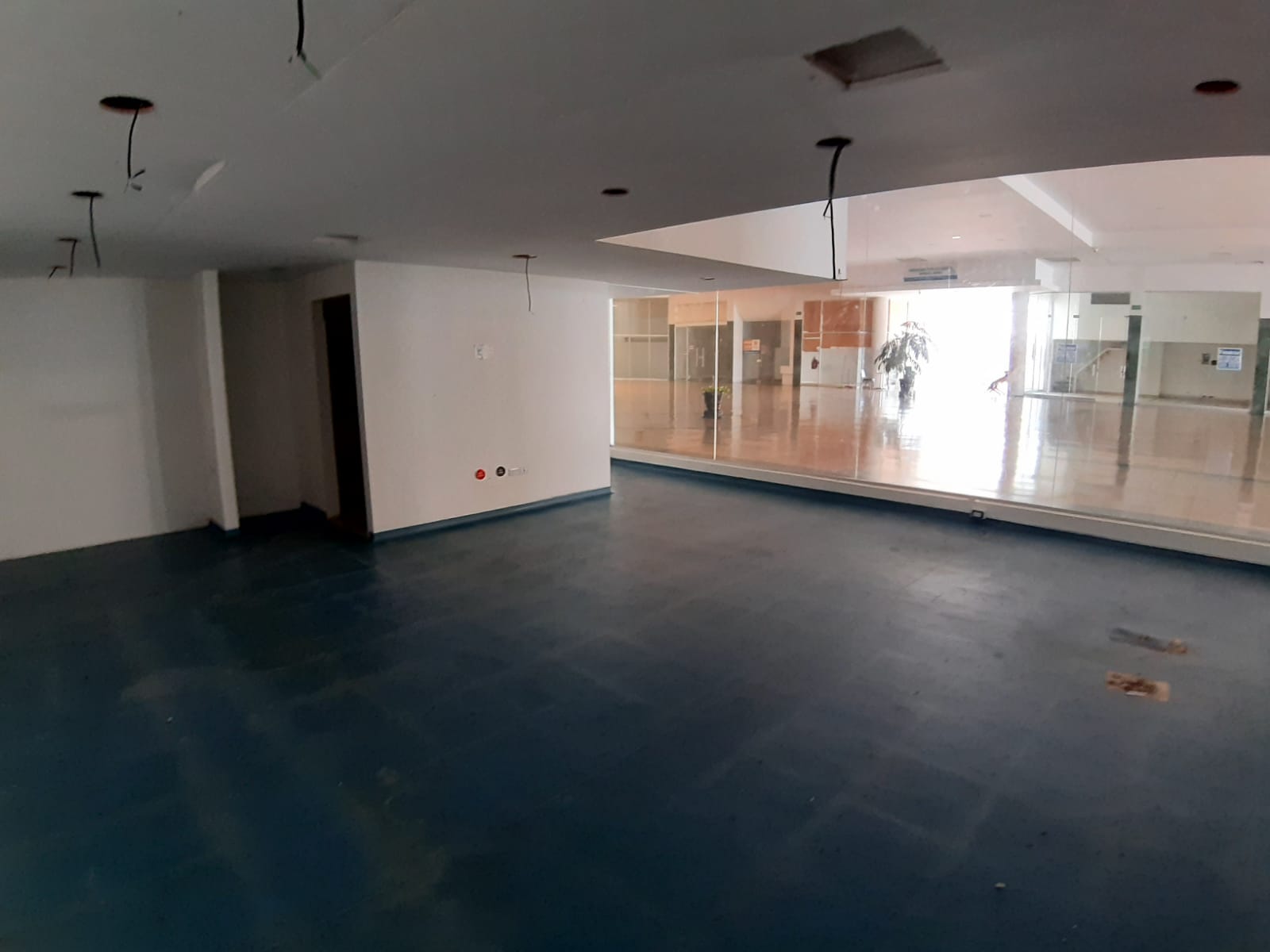 Cordialidad - CC Cordialidad Locales en arriendo - Barranquilla