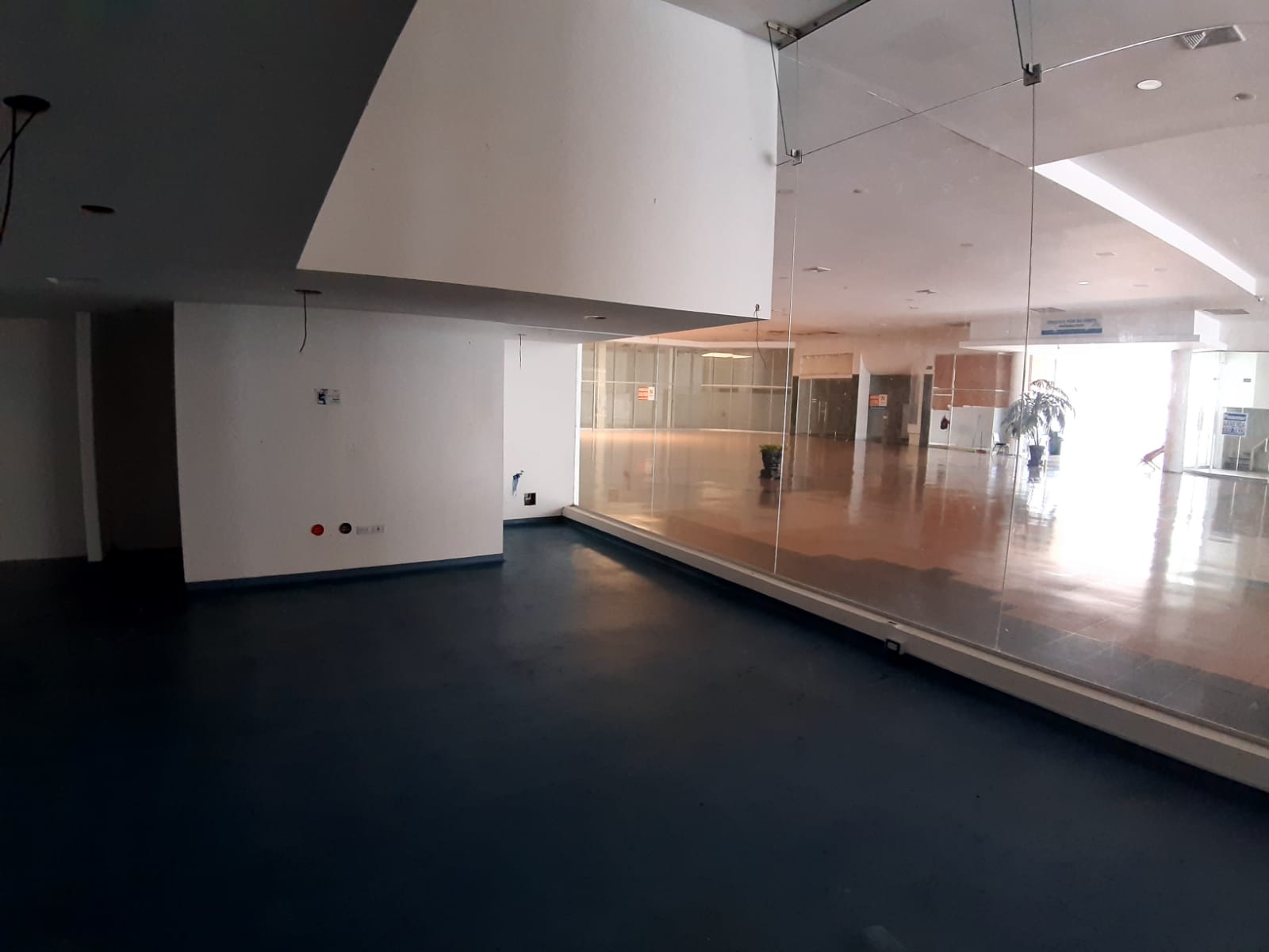 Cordialidad - CC Cordialidad Locales en arriendo - Barranquilla