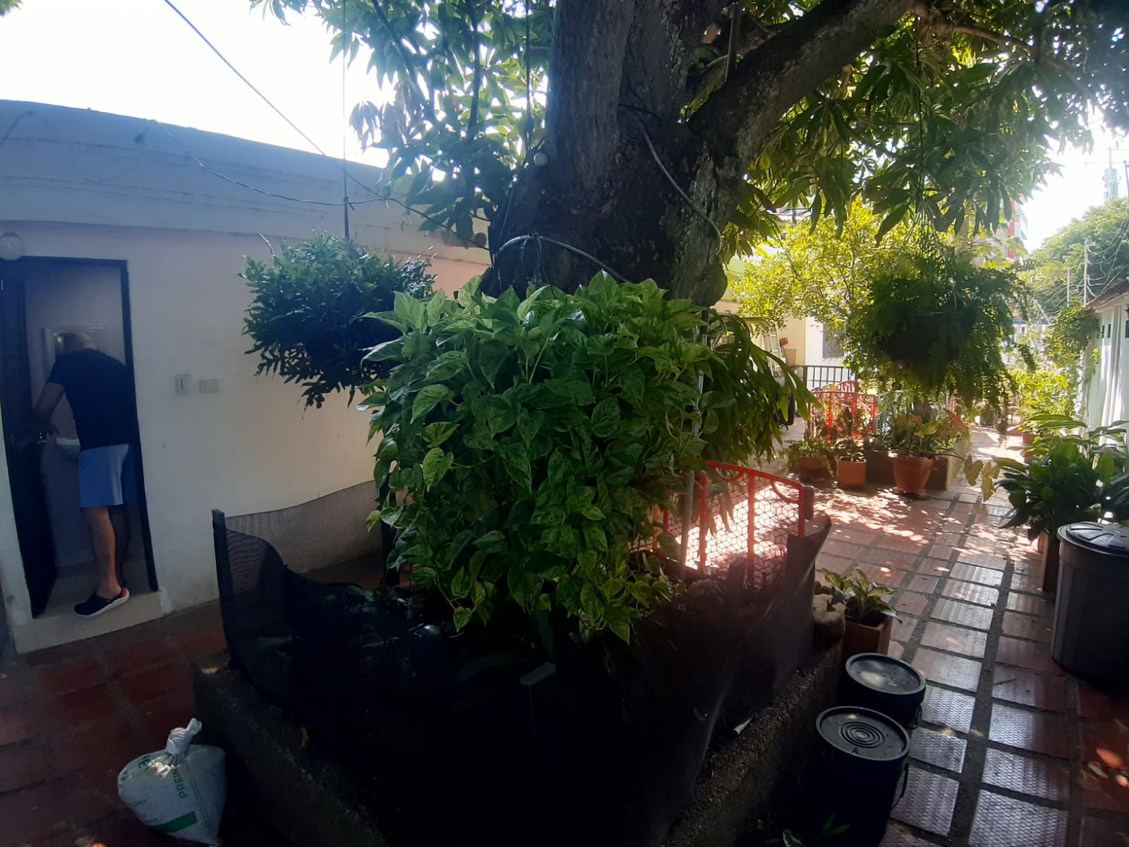 Casa en venta o arriendo - El tabor - Barranquilla