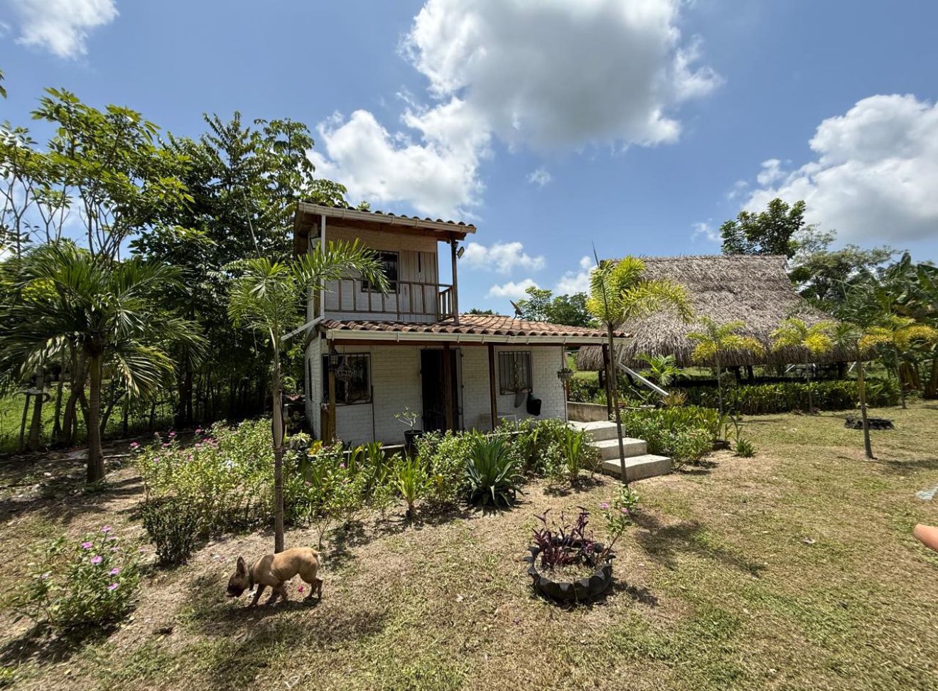 Cabaña en venta - Vía santo tomas - Polo nuevo