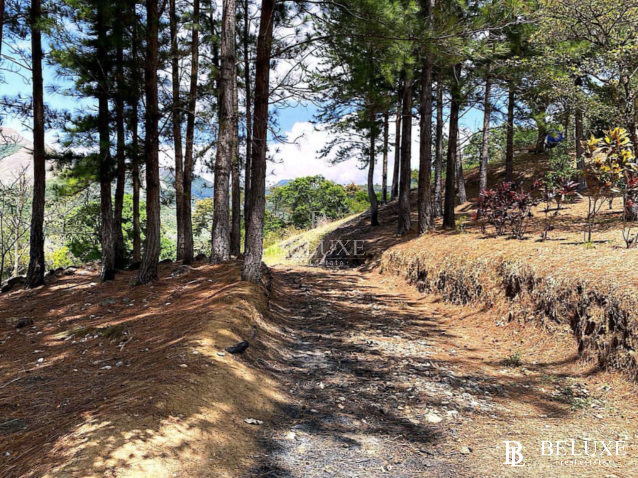 VENDO TERRENO/ LOTE PARA DESARROLLO EN VALLE DE ANTON (6)