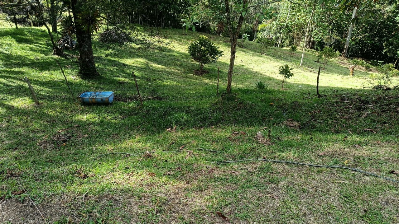 VENDO LOTES, LA CEJA ANTIOQUIA  — foto 2 de 6