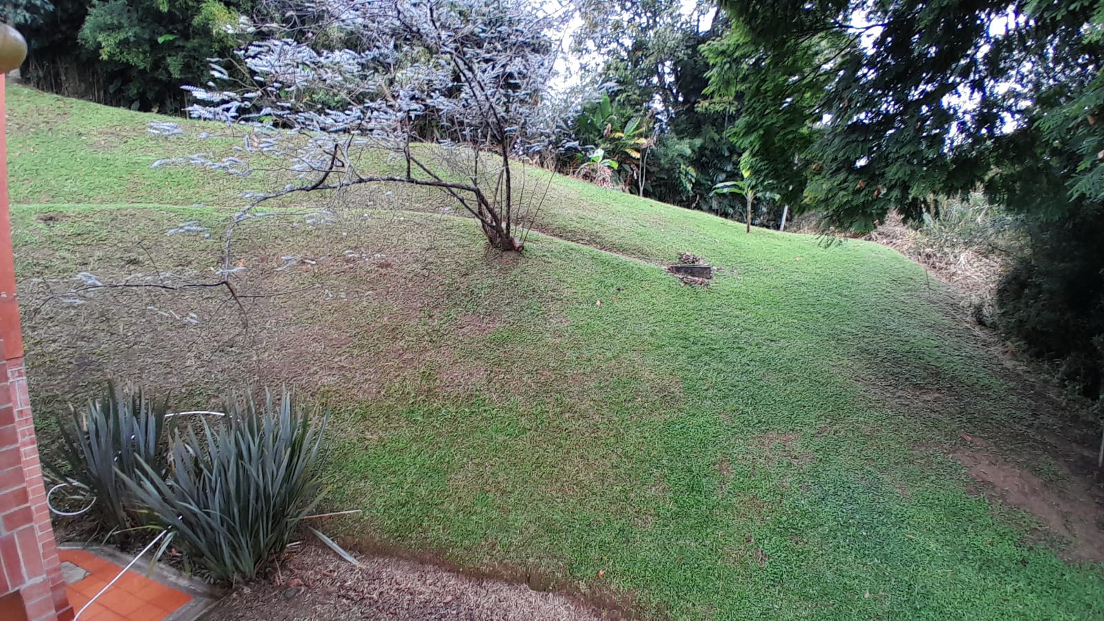 VENDO CASA FINCA INDEPENDIENTE ENVIGADO — foto 3 de 9