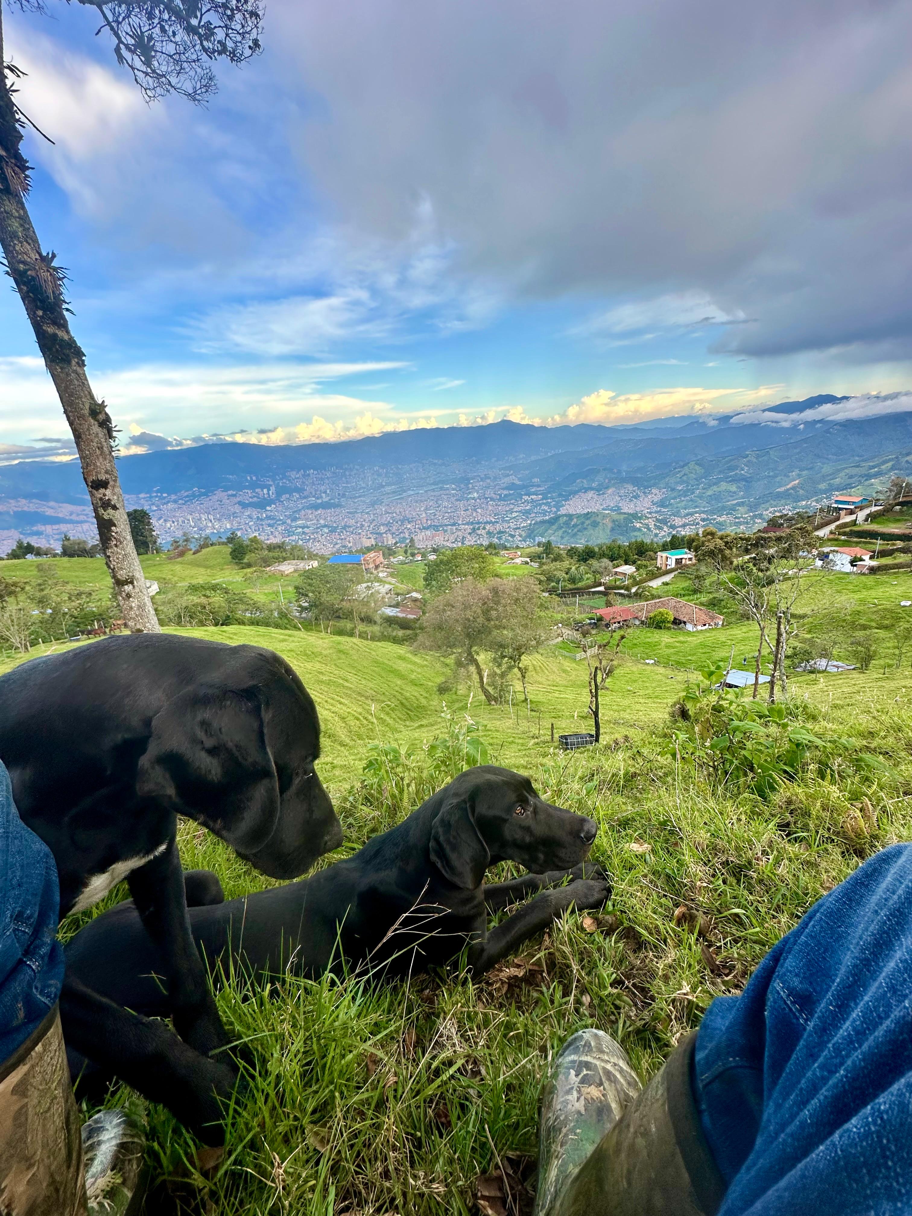 VENDO FINCA, CON LA MEJOR VISTA A LA CIUDAD DE MEDELLIN  — foto 4 de 4