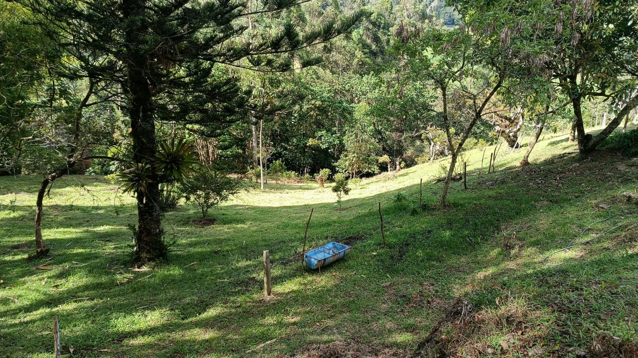 VENDO LOTES, LA CEJA ANTIOQUIA  — foto 4 de 6