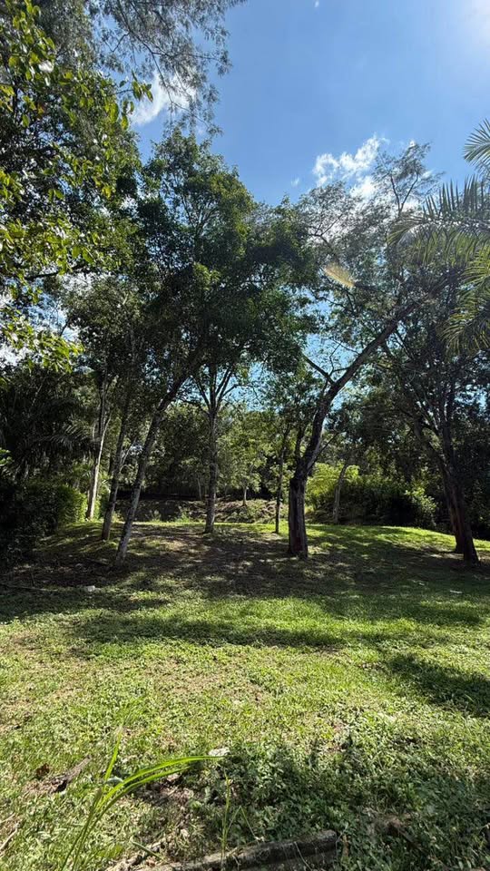 VENDO LOTE EN SAN JERONIMO 2600 METROS EN CONDOMINIO — foto 4 de 4