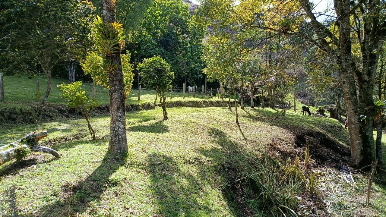 VENDO LOTES, LA CEJA ANTIOQUIA  — foto 5 de 6