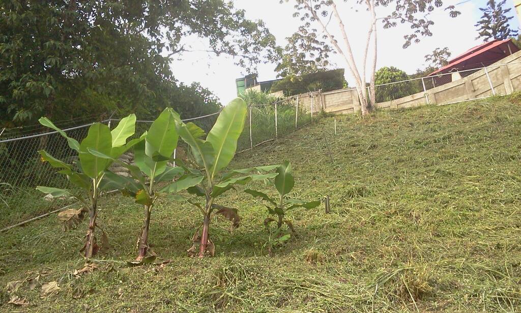 Granero en venta Caracas, Miranda - Dtto. Capital Caracas Miranda - Dtto. Capital 