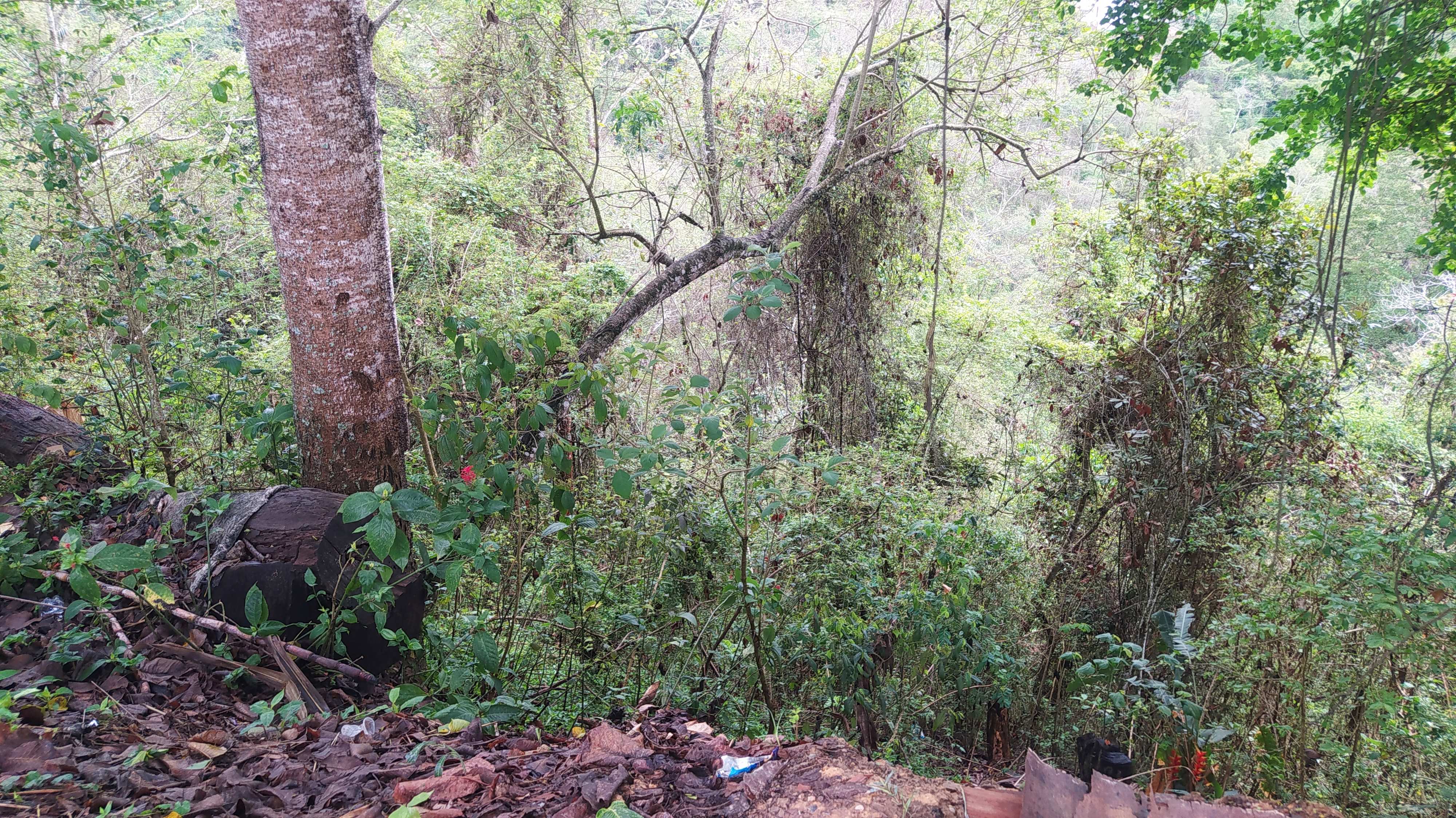 Oficina en venta Caracas, Miranda - Dtto. Capital Caracas Miranda - Dtto. Capital 