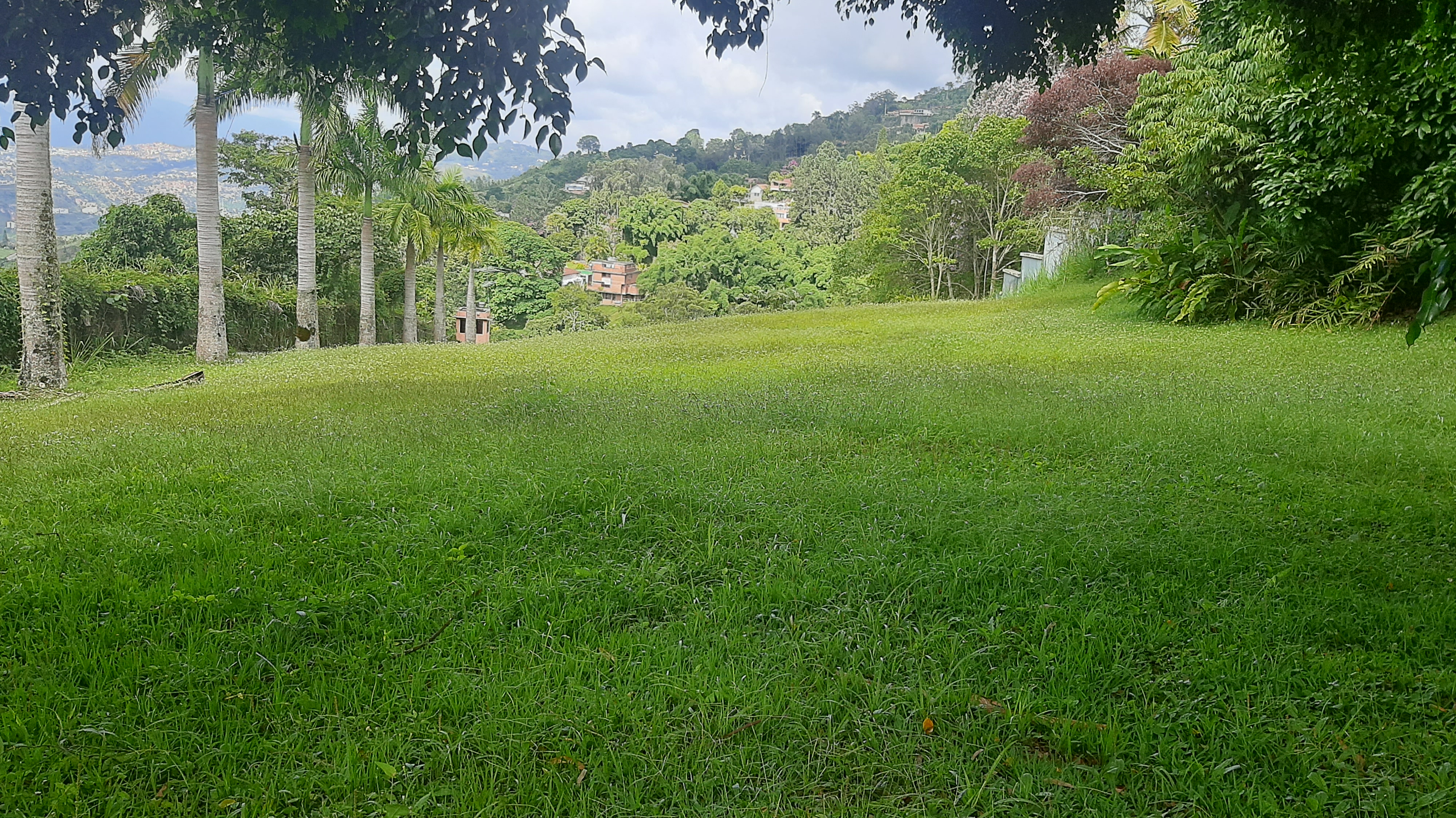 Local en venta Caracas, Miranda - Dtto. Capital Caracas Miranda - Dtto. Capital 