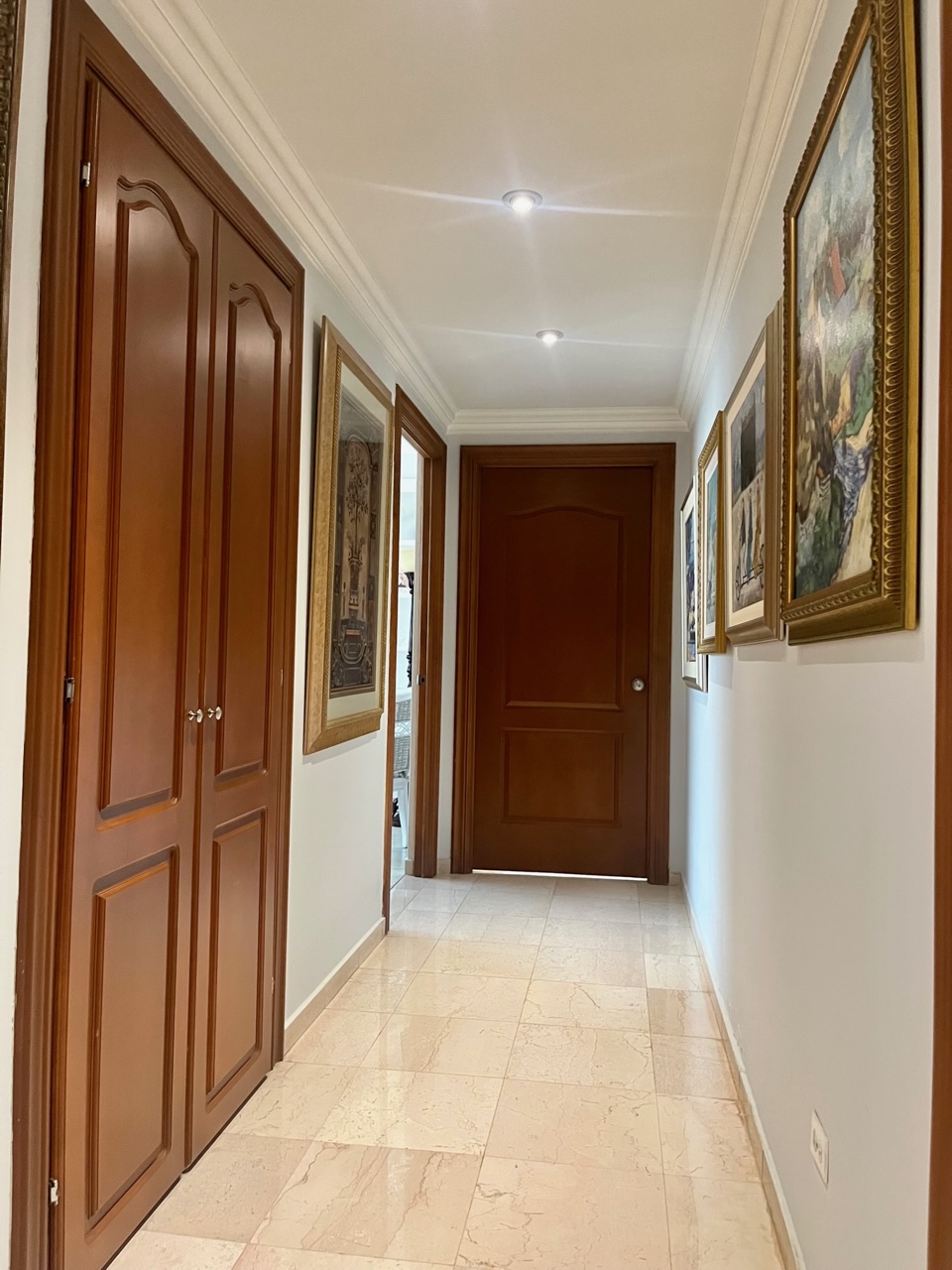 Se Vende apartamento en PH Vistanova, El Cangrejo