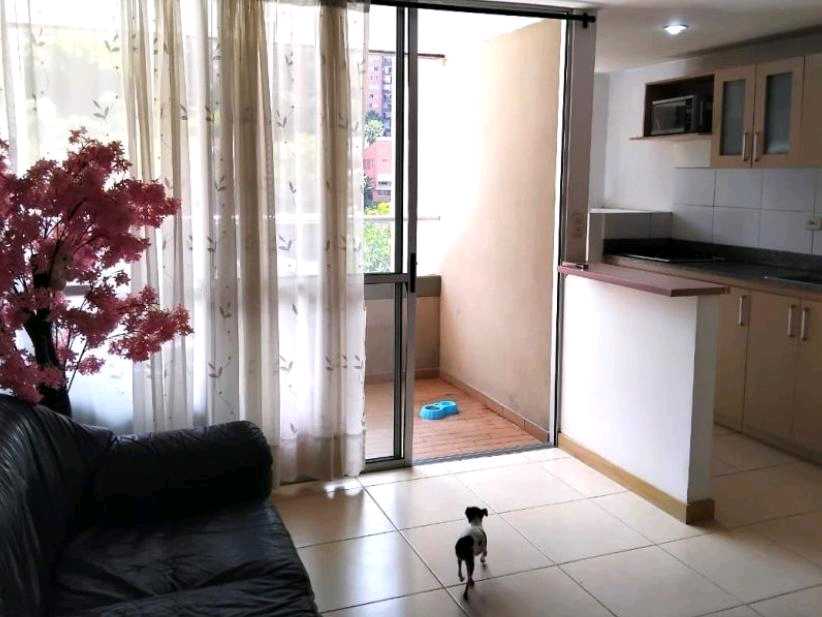 Apartamento a la venta y arriendo Sabaneta Loma de San José
